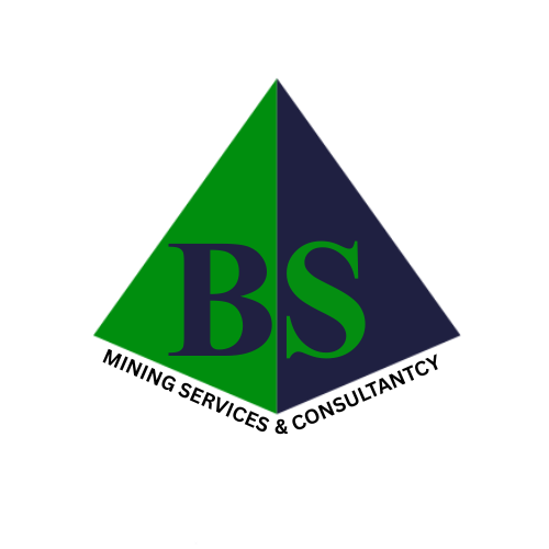 BSMSC Logo